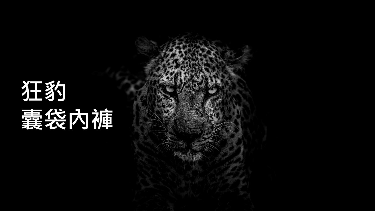 狂豹囊袋內褲